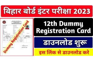 Bihar Board 10th Dummy Registration Card 2023